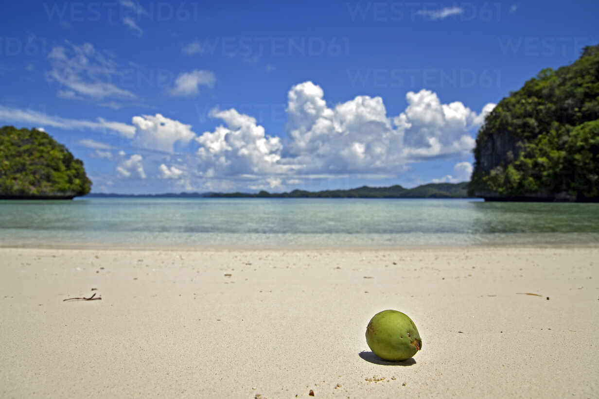 Palau, Rock Island, Coconut in tropical beach stock photo