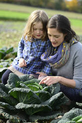 Mother with daughter in a savoy field - ECPF00787