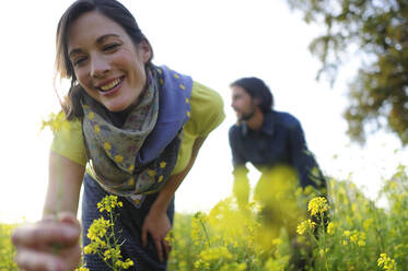 Woman picking yellow flowers on meadow, man in the background - ECPF00818