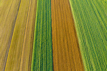 Germany, Baden Wurttemberg, Rems-Murr-Kreis, Aerial view of fields in Autumn - STSF02377