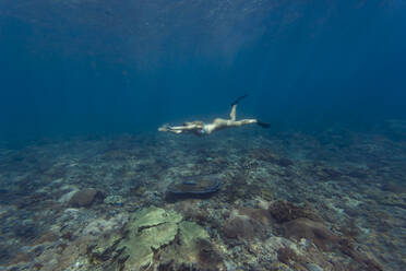 Young woman diving, Nusa Penida island, Bali, Indonesia - KNTF03882