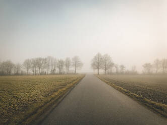 Germany, Baden-Wurttemberg, Tubingen, Empty country road at foggy winter dawn - LVF08495