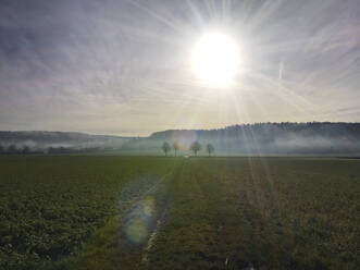 Deutschland, Baden-Württemberg, Tübingen, Ländliches Feld bei nebligem Wintersonnenaufgang - LVF08497