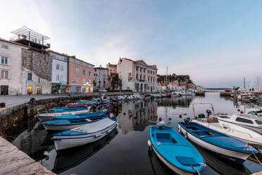 Boote im kleinen Hafen in der Altstadt von Piran, Slowenien - DAWF00963