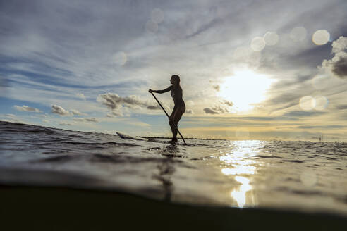 Female SUP surfer at sunset, Bali, Indonesia - KNTF03897