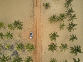 Benin, Luftaufnahme eines zwischen Palmen geparkten 4x4-Autos am Sandstrand der Küste - VEGF01245