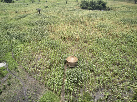 Benin, Luftaufnahme eines einfachen Silos des Holi-Stammes auf einer grünen Wiese - VEGF01258