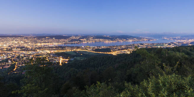 Schweiz, Kanton Zürich, Zürich, Panoramablick auf die beleuchtete Stadt vom Gipfel des Uetlibergs in der Abenddämmerung aus gesehen - WDF05649