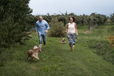 Couple running with their dogs in neture - MAUF03197