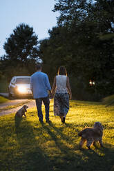 Ehepaar mit zwei Hunden auf einer Wiese in der Abenddämmerung - MAUF03200