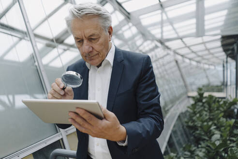 Älterer Geschäftsmann mit Vergrößerungsglas, der im Büro ein Tablet liest - JOSF04218