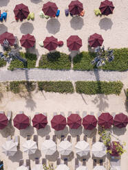 Indonesia, Bali, Nusa Dua, Aerial view of umbrellas on beach - KNTF03980