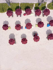 Indonesia, Bali, Nusa Dua, Aerial view of umbrellas on beach - KNTF03981