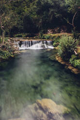 Malerischer Blick auf einen Wasserfall im Wald - CAVF72505