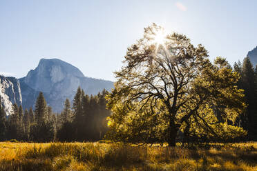 Blick auf den Yosemite-Nationalpark gegen den Himmel an einem sonnigen Tag - CAVF72517