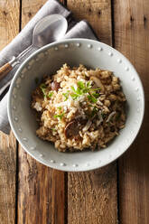 Overhead view of bowl of risotto with mushrooms - DREF00023