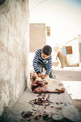 Junge mit Kamelschädel, Flüchtlingslager Smara, Tindouf, Algerien - OCMF00964