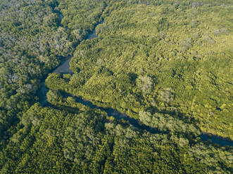 Indonesien, Bali, Sanur, Luftaufnahme eines Mangrovenwaldes - KNTF04019