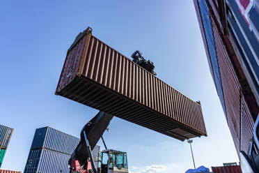 Reach stacker lifting shipping container in dock - CUF54385