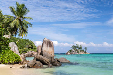 Big stones on the beach with a lot of green plants - CAVF72562