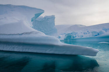 Iceberg, Skontorp Cove, Paradise Bay, Antarctica - ISF23490