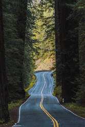 Windige Straße durch den Redwood-Wald, Kalifornien, USA - ISF23530