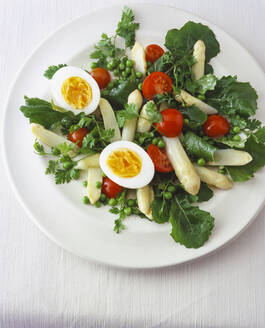 Spargelsalat mit italienischem Löwenzahn, Erbsen und Eiern - PPXF00292