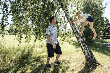 Father watching daughter climbing a birch trunk in park - WFF00233