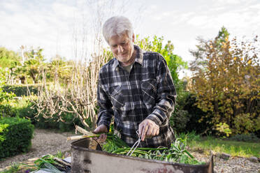 Älterer Mann beim Grillen von Gemüse in seinem Garten - AFVF04876