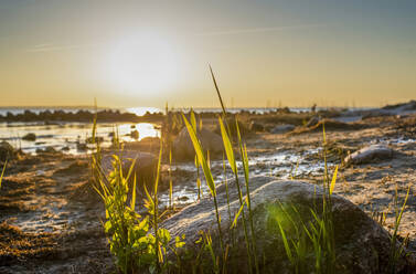 Deutschland, Mecklenburg-Vorpommern, Insel Poel, Timmendorf, Strand bei Sonnenuntergang - BFRF02166