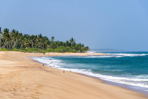 Sri Lanka, Südprovinz, Tangalle, Tropischer Strand - EGBF00535