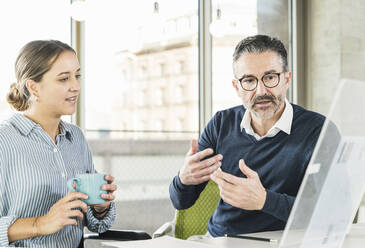 Mature businessman and young businesswoman talking at desk in office - UUF19949