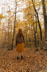 Back view of redheaded young woman standing in autumnal forest - AFVF04883