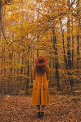 Fashionable redheaded young woman in autumnal forest - AFVF04891