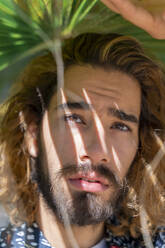 Portrait of bearded young man with dyed hair under palm leaf - AFVF04904