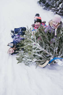 Drei Kinder haben Spaß mit einem Tannenbaum auf einem Schlitten, Jochberg, Österreich - PSIF00348