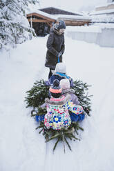 Frau zieht Tannenbaum und drei Kinder auf Schlitten, Jochberg, Österreich - PSIF00349