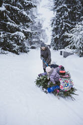 Frau zieht Tannenbaum und drei Kinder auf Schlitten, Jochberg, Österreich - PSIF00350