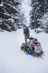 Woman pulling fir tree and three children on sledge, Jochberg, Austria - PSIF00350