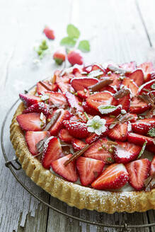 Close-up of homemade strawberry tart - DREF00029