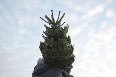 Junger Mann mit Tannenbaum gegen den Himmel - EYAF00790