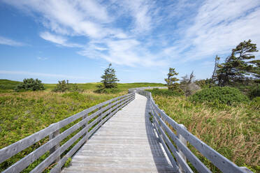 Canada, Prince Edward Island, Greenwich, Empty boardwalk in Prince Edward Island National Park - ELF02098