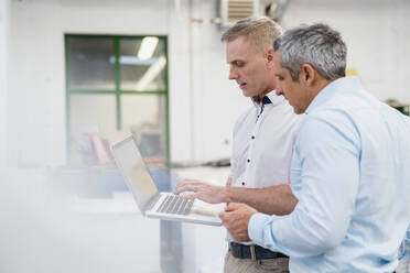 Two colleagues using laptop and discussing in a factory - DIGF09247