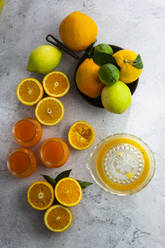 Juicer, ripe citrus fruits and jars of freshly squeezed orange juice - GIOF07922