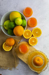 Saftpresse, reife Zitrusfrüchte und Gläser mit frisch gepresstem Orangensaft - GIOF07927
