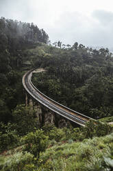 Sri Lanka, Provinz Uva, Demodara, Neun-Bogen-Brücke über ein grünes, bewaldetes Tal - DAWF01124