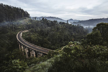 Sri Lanka, Provinz Uva, Demodara, Neun-Bogen-Brücke über ein grünes, bewaldetes Tal - DAWF01127