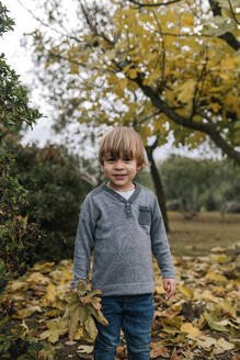 Porträt eines kleinen Jungen, der im Herbst Blätter sammelt - GRCF00038