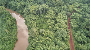 Kamerun, Luftaufnahme von Sanaga Fluss und Wald - VEGF01402