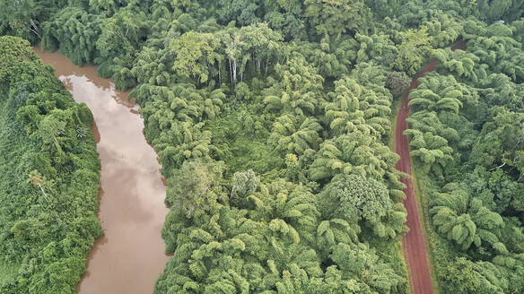 Cameroon, Aerial view of Sanaga river and forest - VEGF01402